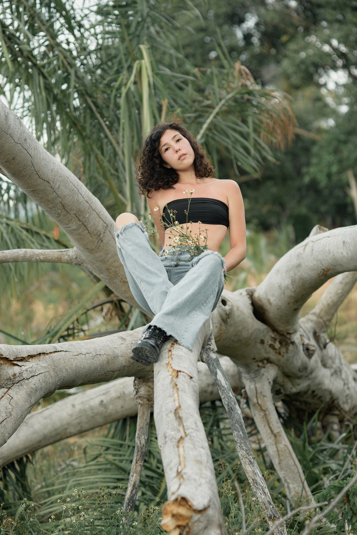 Seated fashion portrait framed by tropical branches